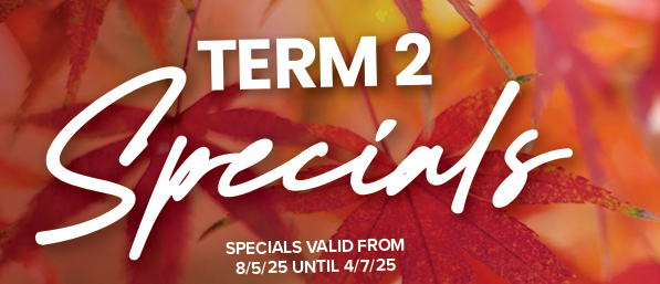 Term 2 Specials